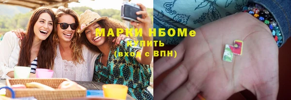 шишки Абаза