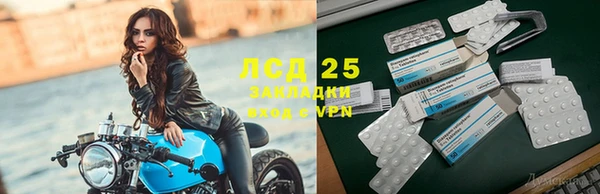 шишки Абаза