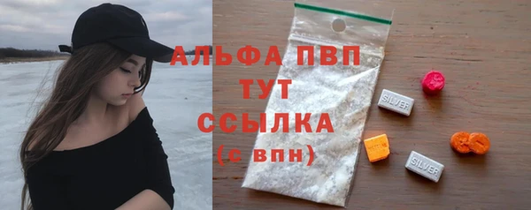 стаф Покачи