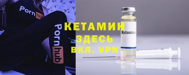 шишки Абаза