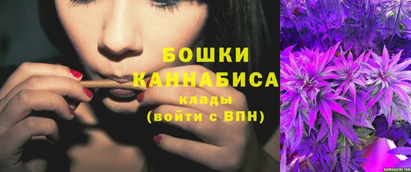 шишки Абаза