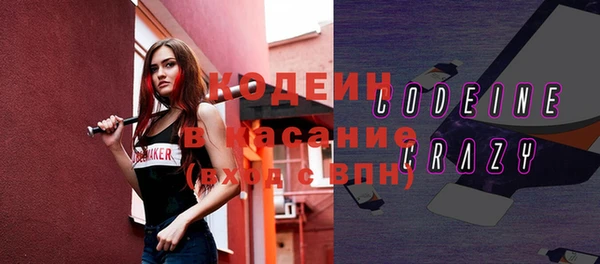 шишки Абаза