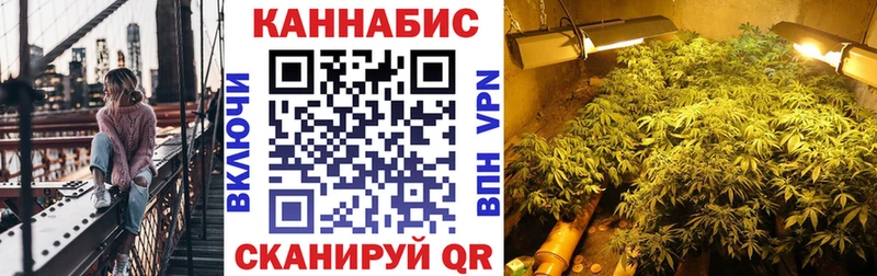 OMG вход  маркетплейс официальный сайт  Каннабис OG Kush  Отрадный 